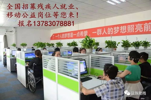 數字賦能，共創未來 電子商務為殘疾人群體帶來的新機遇與信息咨詢服務支持